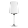 Red Wine Sensa Glass