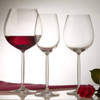 Diva White Wine Glass 30cl (Case Size 36)