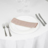 Silk Taffeta Napkin Pale Pink 20in x 20in
