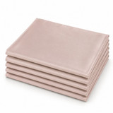 Silk Taffeta Napkin Pale Pink 20in x 20in