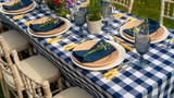 Transform Your Garden into the Perfect Dinner Party Oasis with Our Tablescapes!