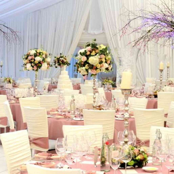 Chloe Ivory Chameleon Chair