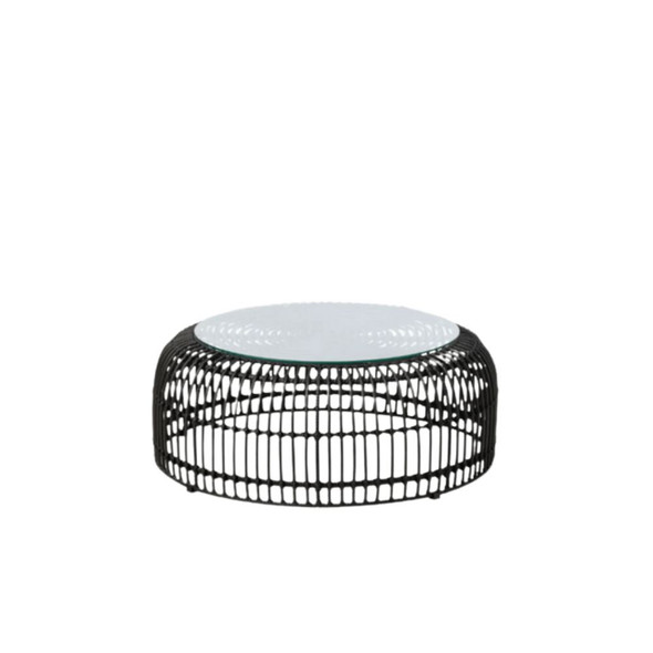 Palm Black Coffee Table / Ottoman