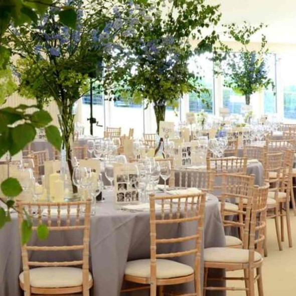 Chiavari Chair Limewash (deluxe)