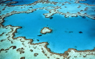 Great Barrier Reef and its Magnificence