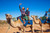 Outback Camel Ride