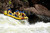 Cairns Adventure Group Tully River Rafting Classic