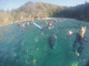 Snorkel Whitsundays