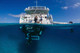 Pro Dive Cairns Liveaboard