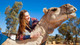 Alice Springs Camels