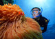 Great Barrier Reef Snorkellng