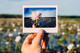 Photo of flowers over Kakadu wetlands