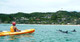 Wild dolphins in Byron Bay