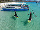 Whitsunday Stand-up Paddle Boarding