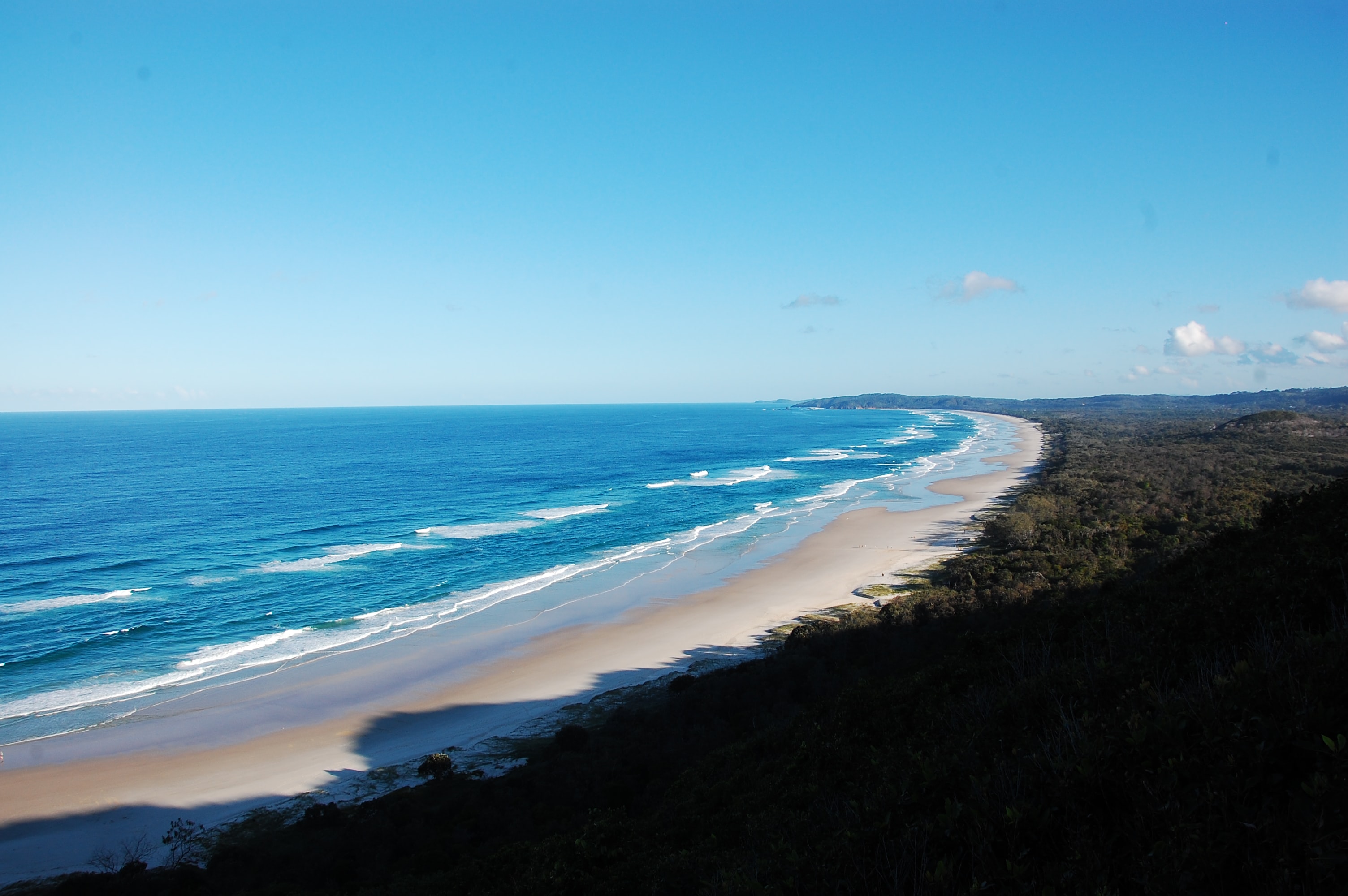 Surfing with dolphins Tallo Beach, Byron Bay.