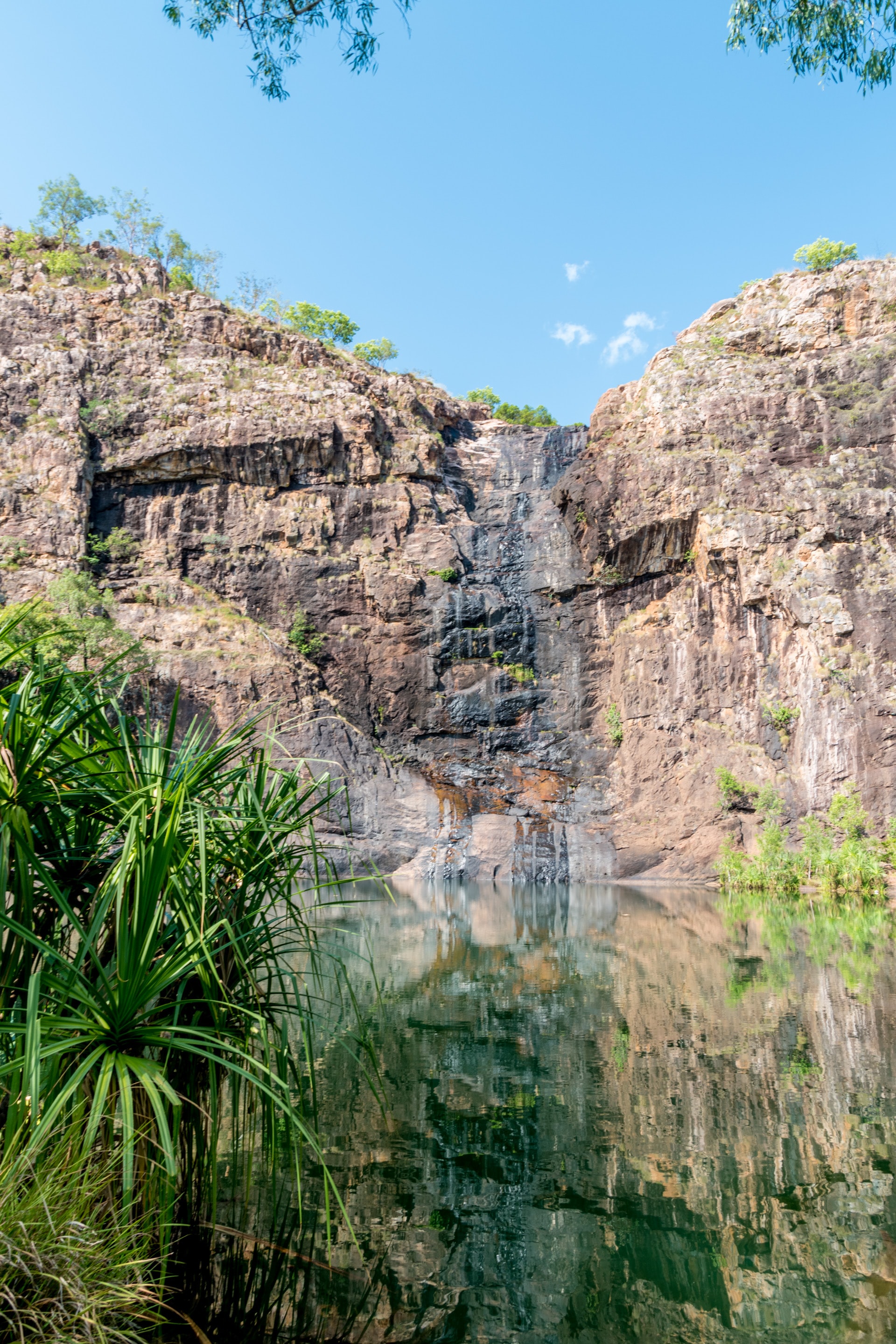 kakadu.jpg