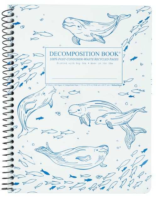 Notebook Decomposition Coilbound Lined- Belugas