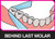 X-Ribbon 12m Roll