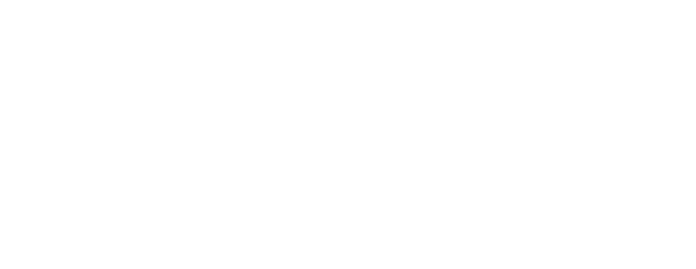 Piksters Interdental Brushes