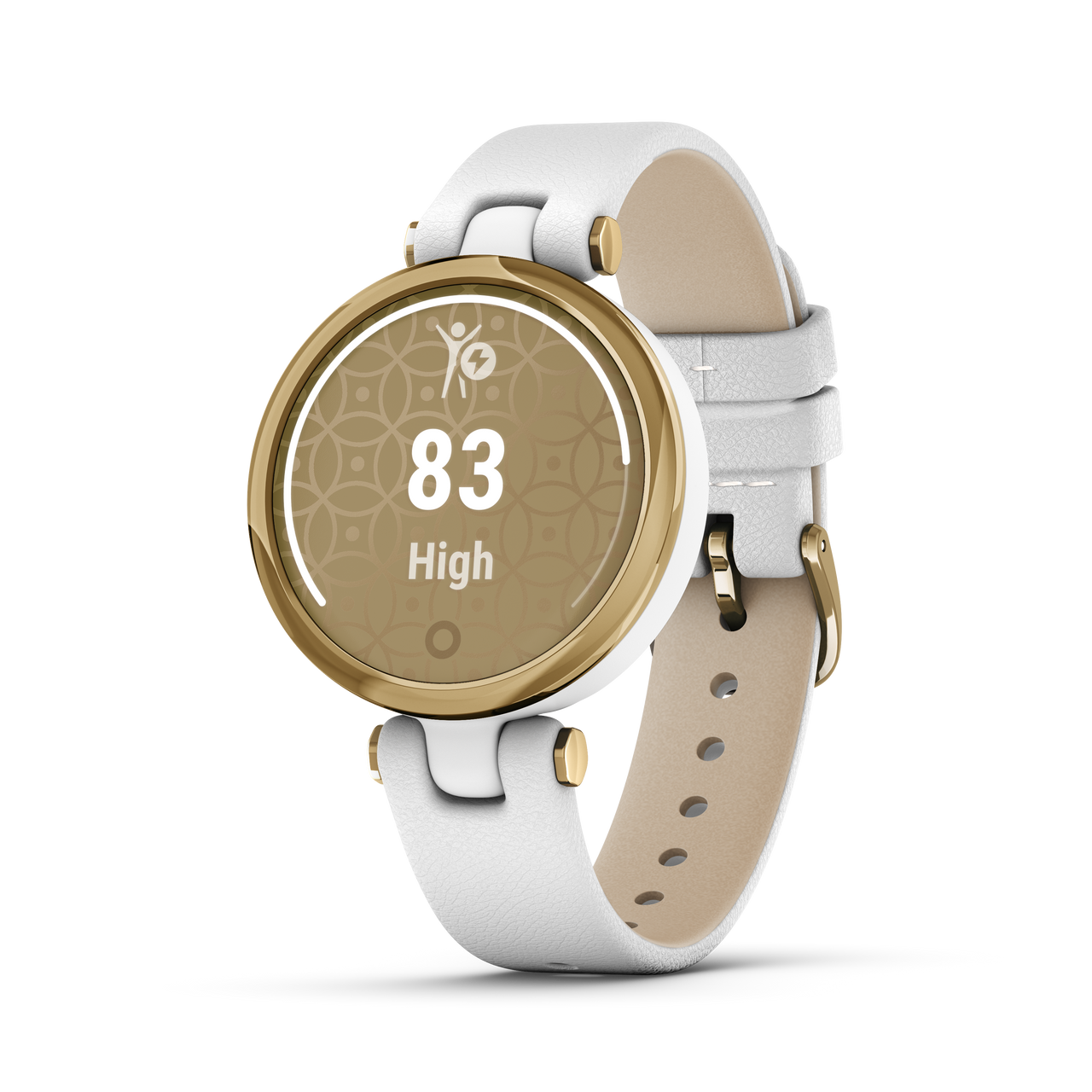 Garmin Lily Classic Light Gold Case 