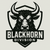 FLASHDRIVE | BLACKHORN Division