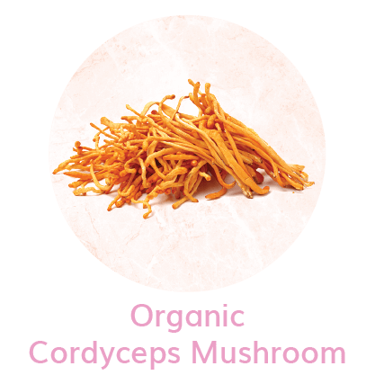 myvluxe.com-womens immunity and health mushroom supplement cordyceps mushroom