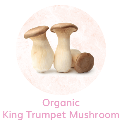 myvluxe.com-womens immunity and health mushroom supplement king trumpet mushroom