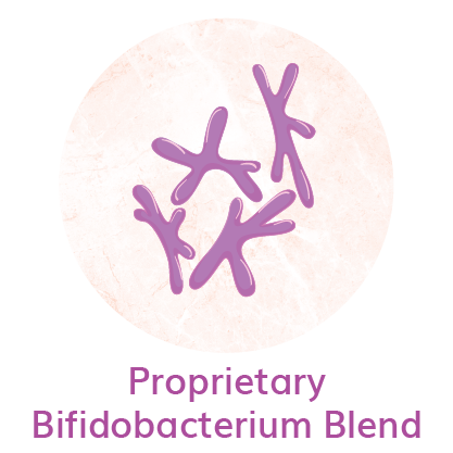 myvluxe.com-probiotics-ingredients-proprietary-bifidobacterium-blend