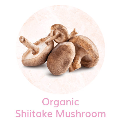 myvluxe.com-womens immunity and health mushroom supplement shiitake mushroom