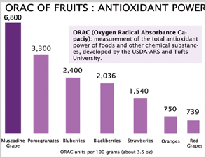 products-chart.jpg