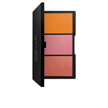 Sleek Blush by 3 Palette - Pumpkin 