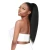 Instant Glitz Synthetic Drawstring Ponytail Natural Yaki Straight 24"