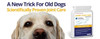 Curcupet K9 Tablets 56 Pack Cambridge Nutraceuticals Ltd SuperPharmacyPlus
