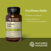 Nature\'s Sunshine Psyllium Hulls | 100 Capsules  by Natures Sunshine available at SuperPharmacy Plus