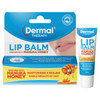 Dermal Therapy Lip Balm Manuka Honey 10g  by  available at SuperPharmacy Plus