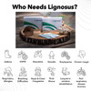 Who can benefit from Lignosus