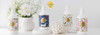 Indigo Organic Hand & Body Wash 500ml | Assorted Scent Only