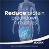 Human Muscular System – Reduce protein breakdown in muscles