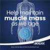 Human Muscular System – Help maintain muscle mass