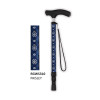 Redgum Premium Telescopic Walking Stick