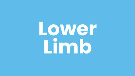 Lower Limb Lower Limb