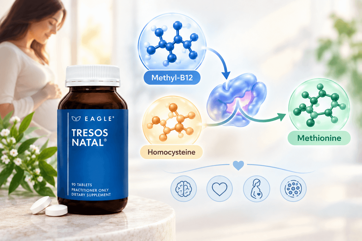 How does the methyl-B12 in Eagle Tresos Natal support homocysteine conversion?