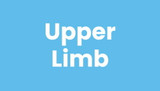 Upper Limb