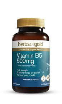 Herbs of Gold Vitamin B5 500mg 60 Capsules Herbs of Gold SuperPharmacyPlus