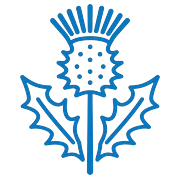 Milk Thistle
