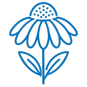 Echinacea