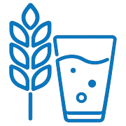 Fibre & Psyllium