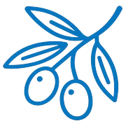 Olive Leaf