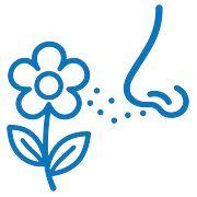 Allergy & Hay Fever