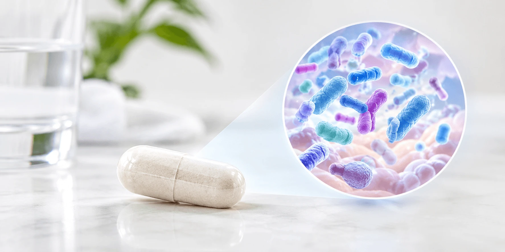 How many live bacteria does one Biome Daily Probiotic capsule deliver?